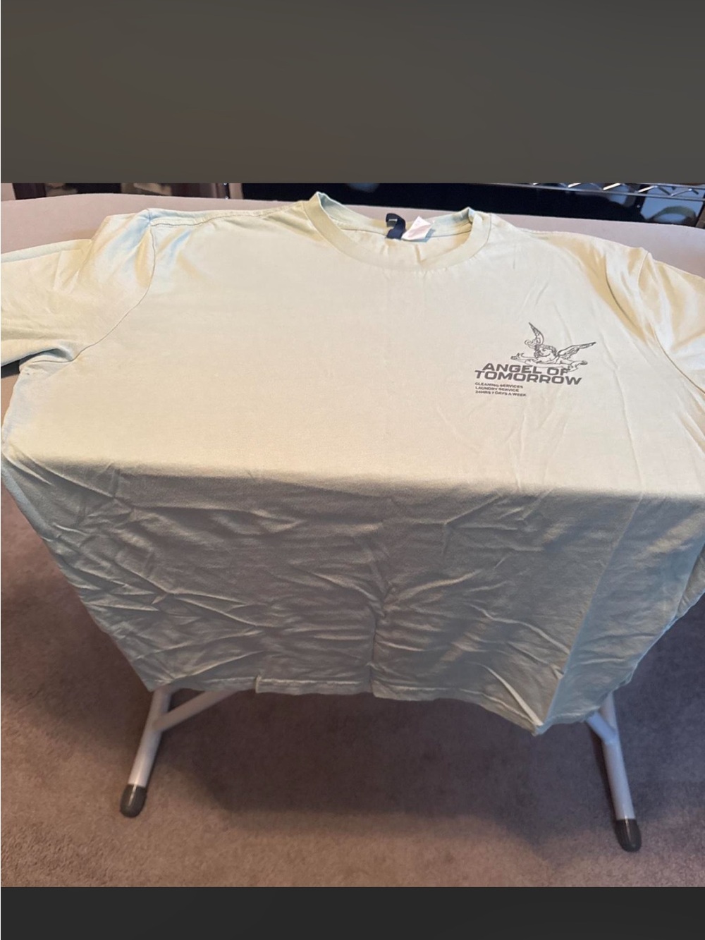 Pale Green Graphic Tee - Men